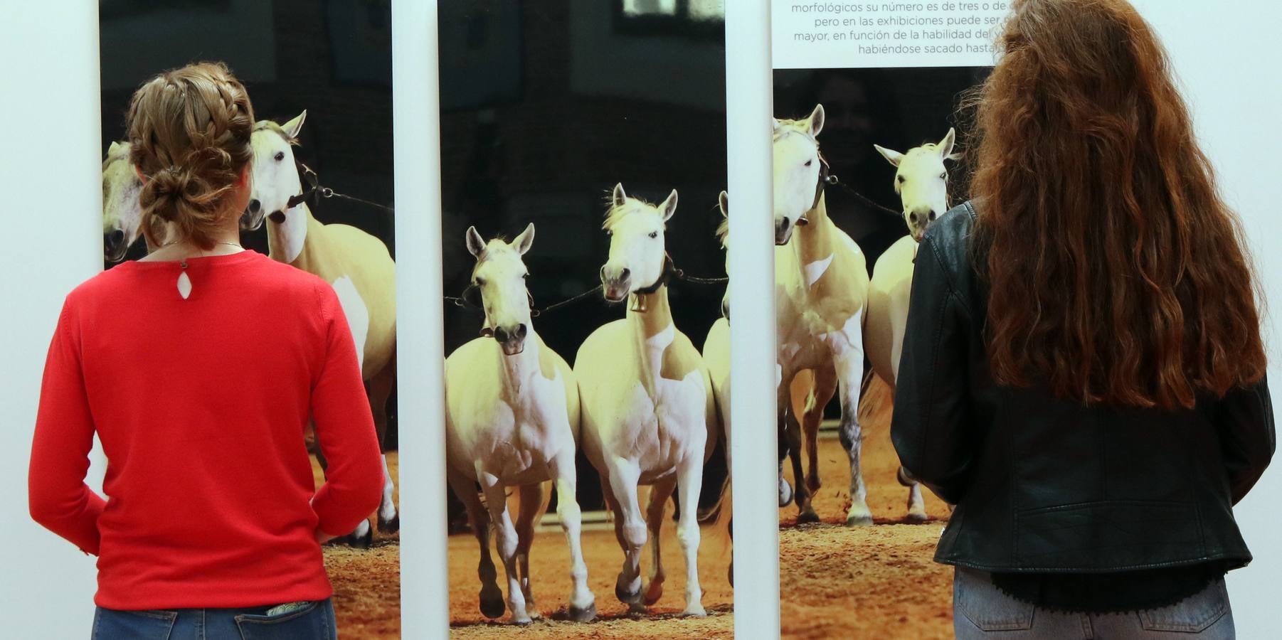 Homenaje al caballo en la Academia de Caballería de Valladolid