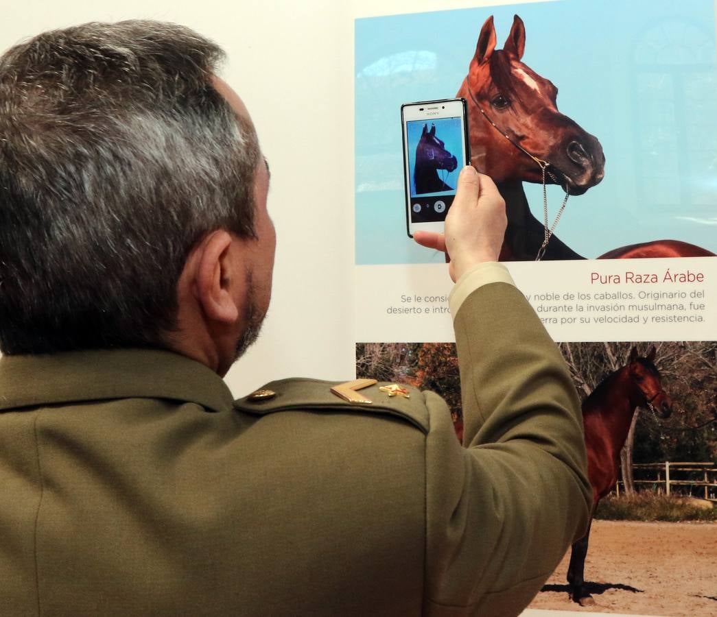 Homenaje al caballo en la Academia de Caballería de Valladolid