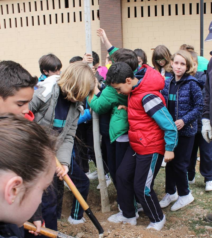 Escolares palentinos celebran el Día del Árbol