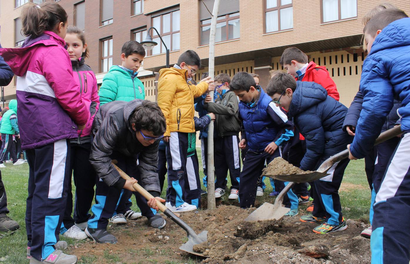 Escolares palentinos celebran el Día del Árbol