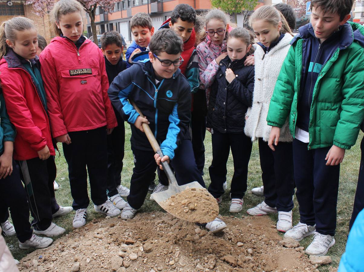 Escolares palentinos celebran el Día del Árbol
