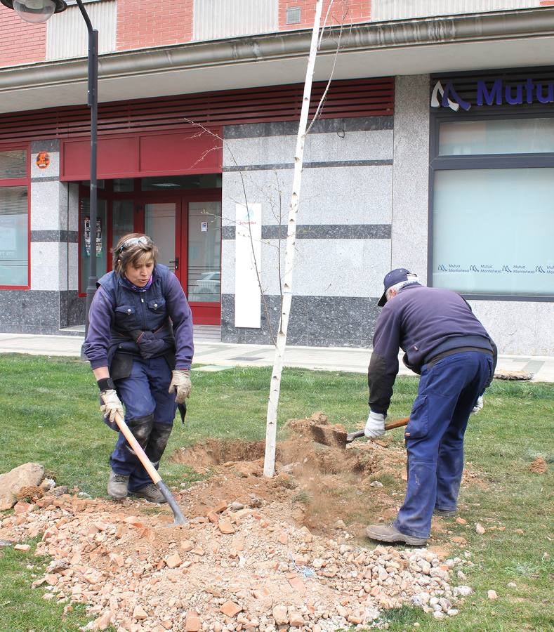 Escolares palentinos celebran el Día del Árbol