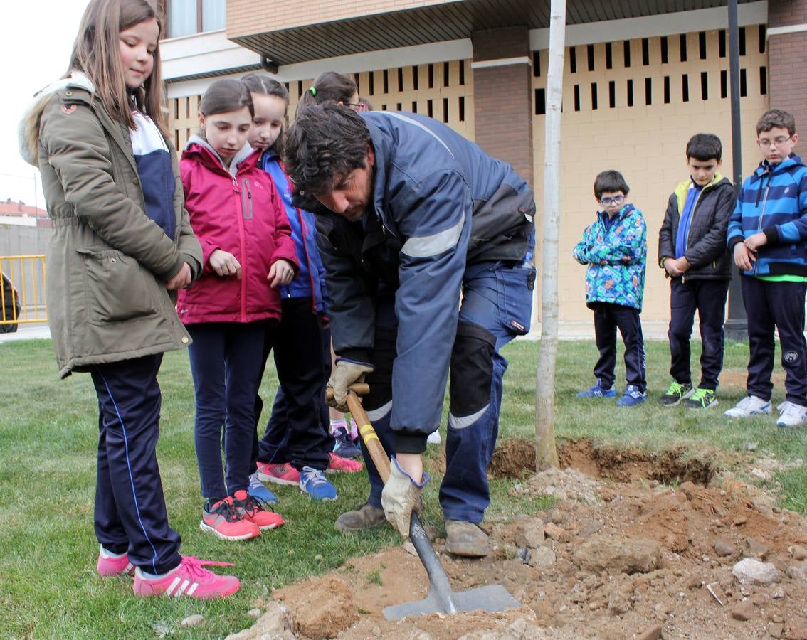 Escolares palentinos celebran el Día del Árbol