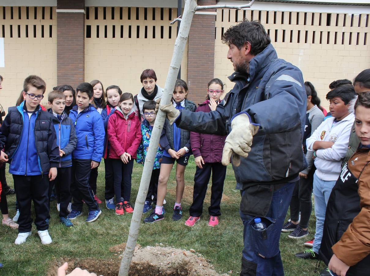 Escolares palentinos celebran el Día del Árbol