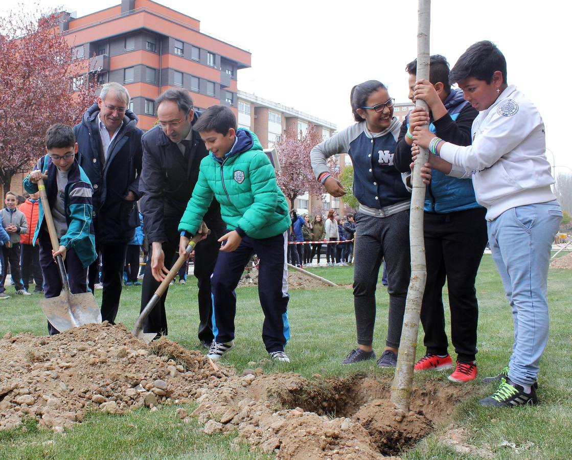 Escolares palentinos celebran el Día del Árbol