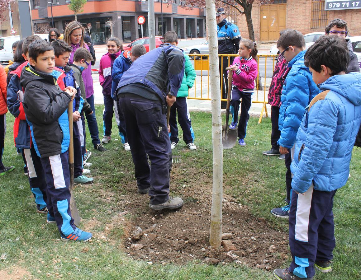 Escolares palentinos celebran el Día del Árbol