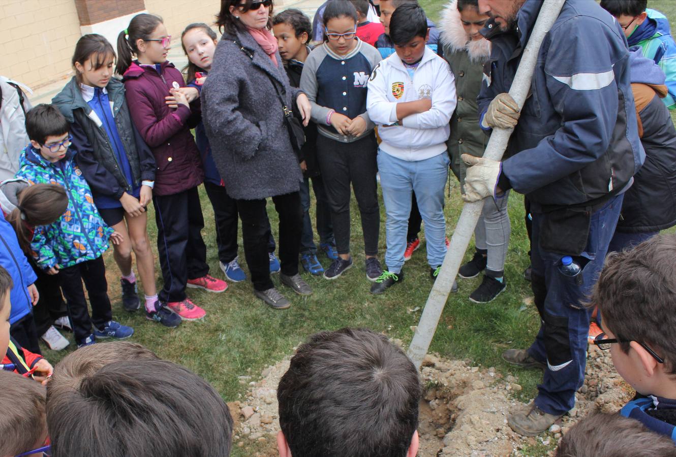 Escolares palentinos celebran el Día del Árbol