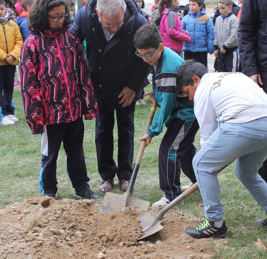 Escolares palentinos celebran el Día del Árbol