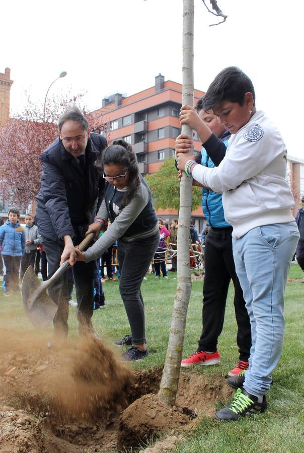 Escolares palentinos celebran el Día del Árbol