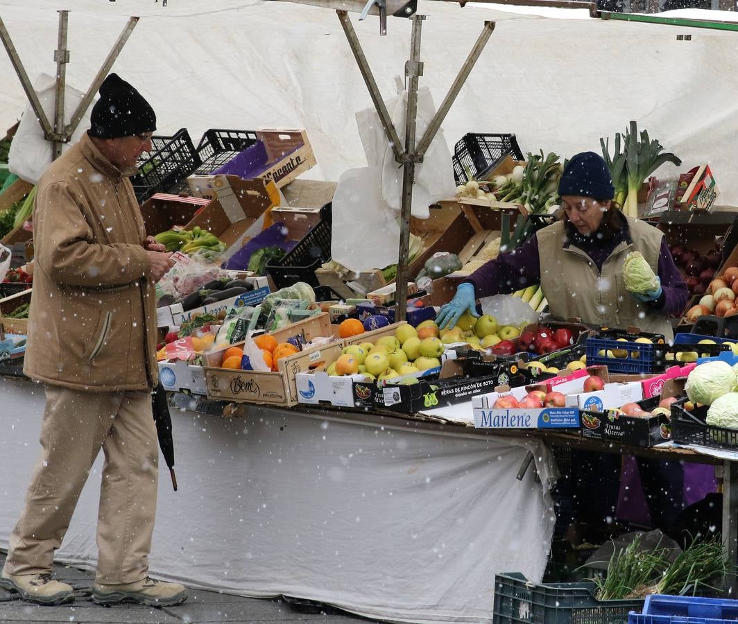 Jornada de frío invernal y nieve en Segovia