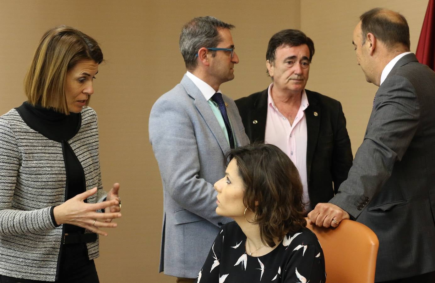 Pleno en la Diputación de Segovia