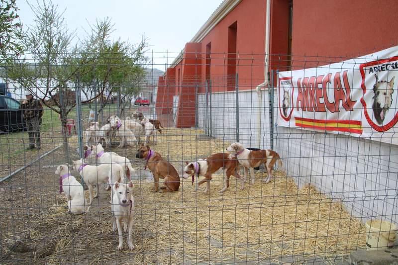 I Feria de Caza y Pesca de Villaviudas (Palencia)