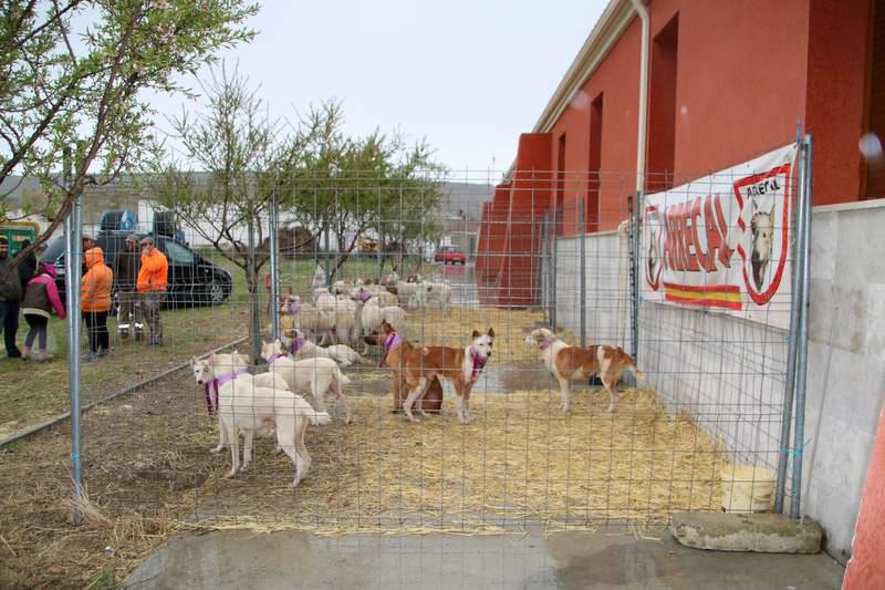 I Feria de Caza y Pesca de Villaviudas (Palencia)