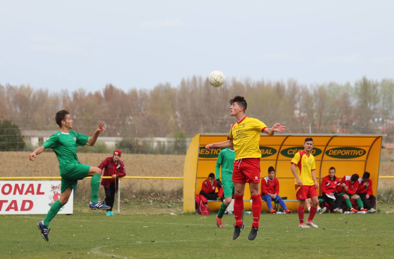 Deporte Base del 25 y 26 de marzo. Palencia (2/4)