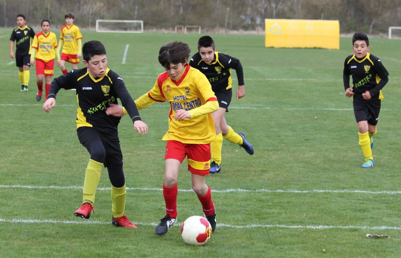 Deporte Base del 25 y 26 de marzo. Palencia (2/4)