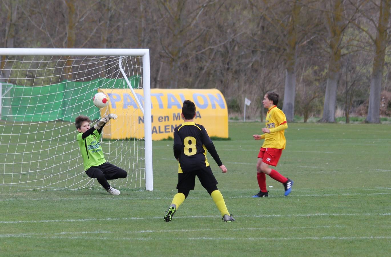 Deporte Base del 25 y 26 de marzo. Palencia (2/4)