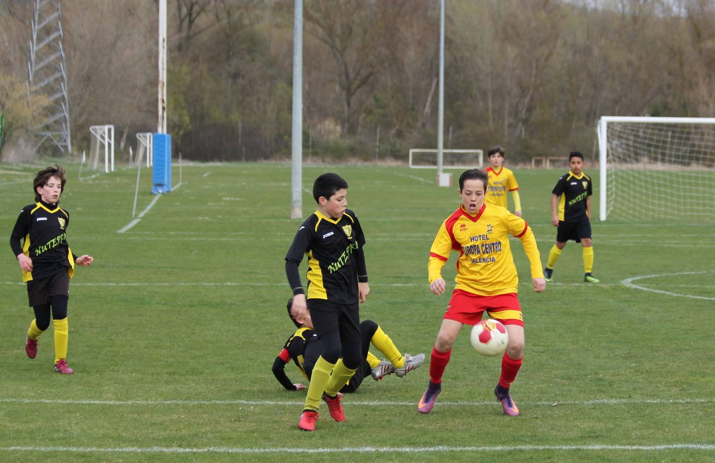 Deporte Base del 25 y 26 de marzo. Palencia (2/4)