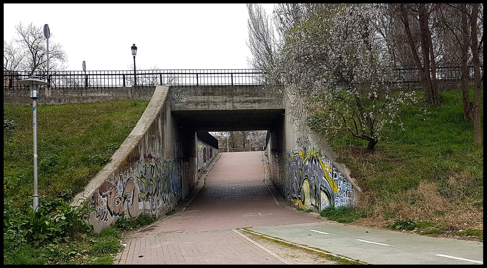 El otro Valladolid (VIII): un paseo por la ribera del Pisuerga