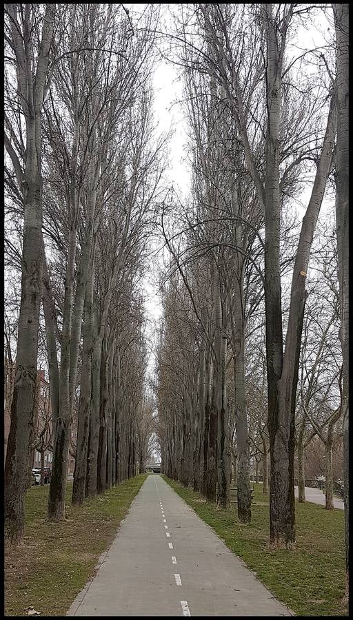 El otro Valladolid (VIII): un paseo por la ribera del Pisuerga