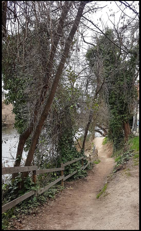 El otro Valladolid (VIII): un paseo por la ribera del Pisuerga