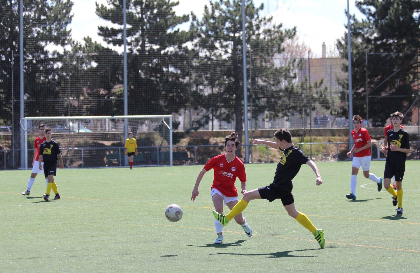 Deporte Base del 1 y 2 de abril. Palencia (2/4)