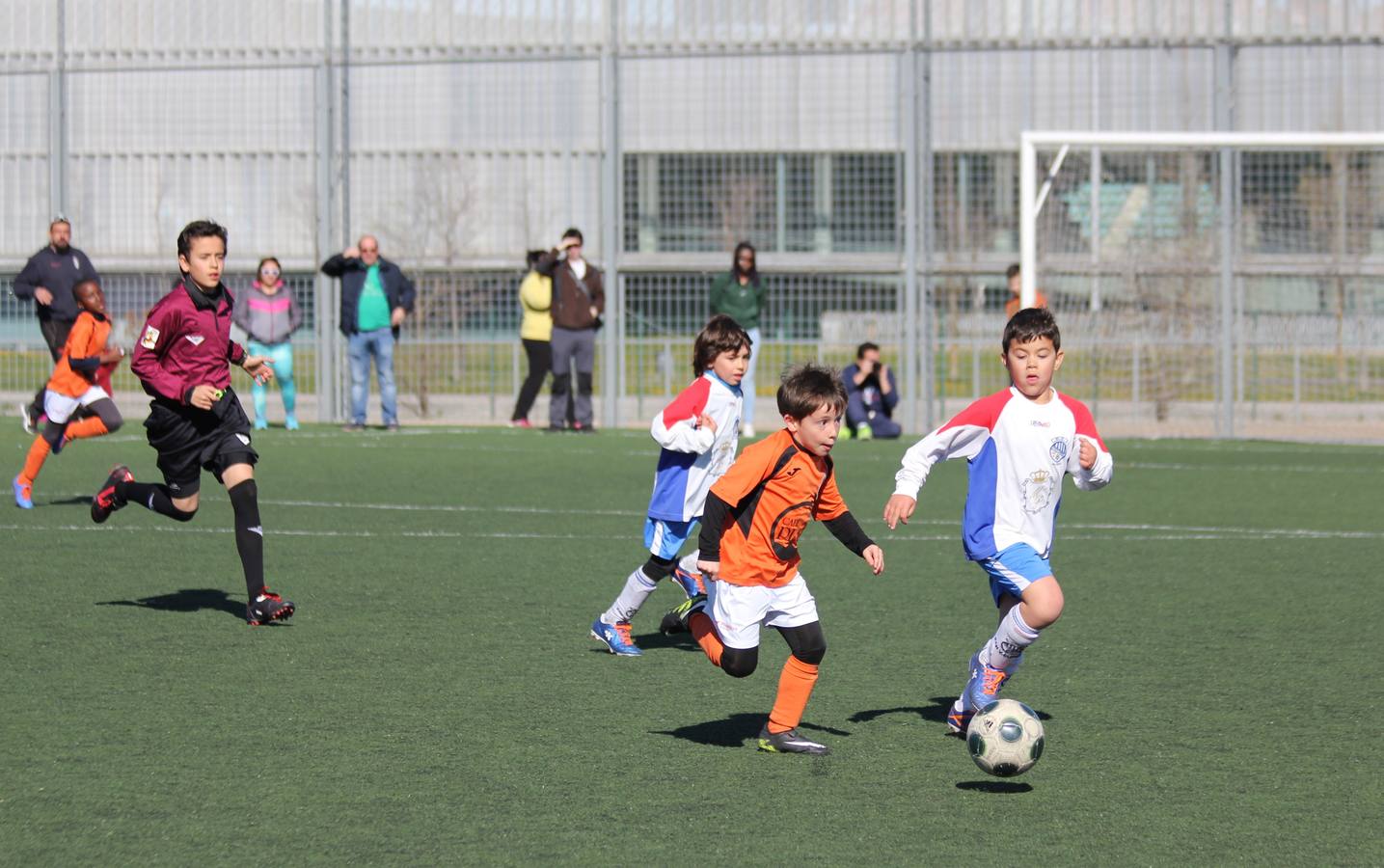 Deporte Base del 1 y 2 de abril. Palencia (3/4)