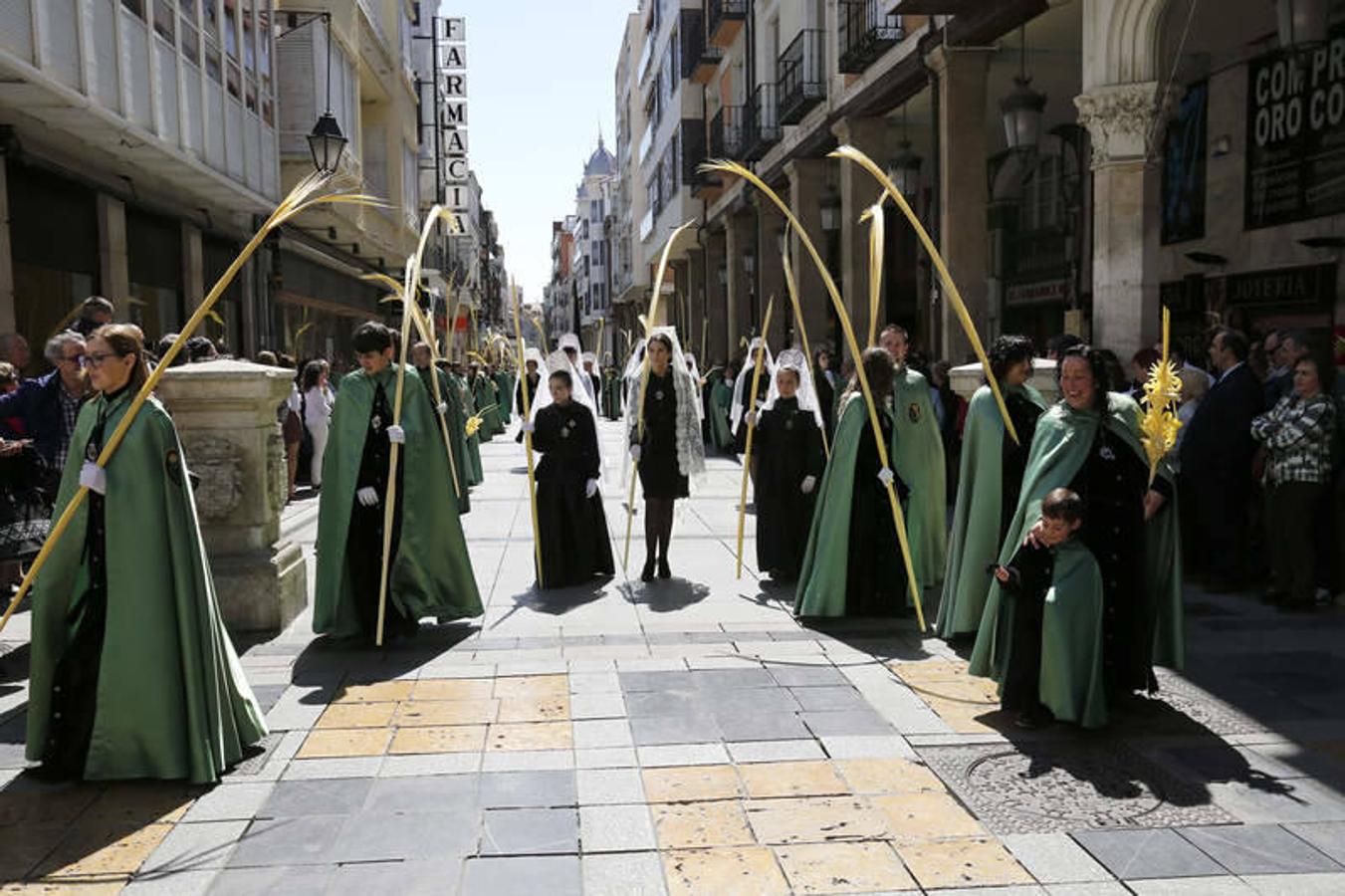 Procesión de La Borriquilla en Palencia (1/2)