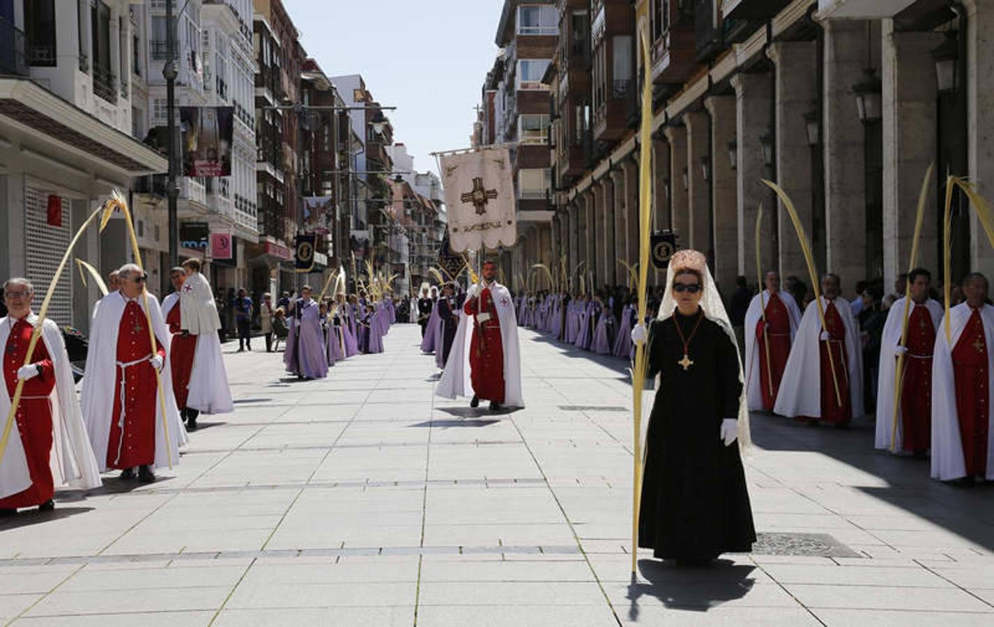 Procesión de La Borriquilla en Palencia (1/2)