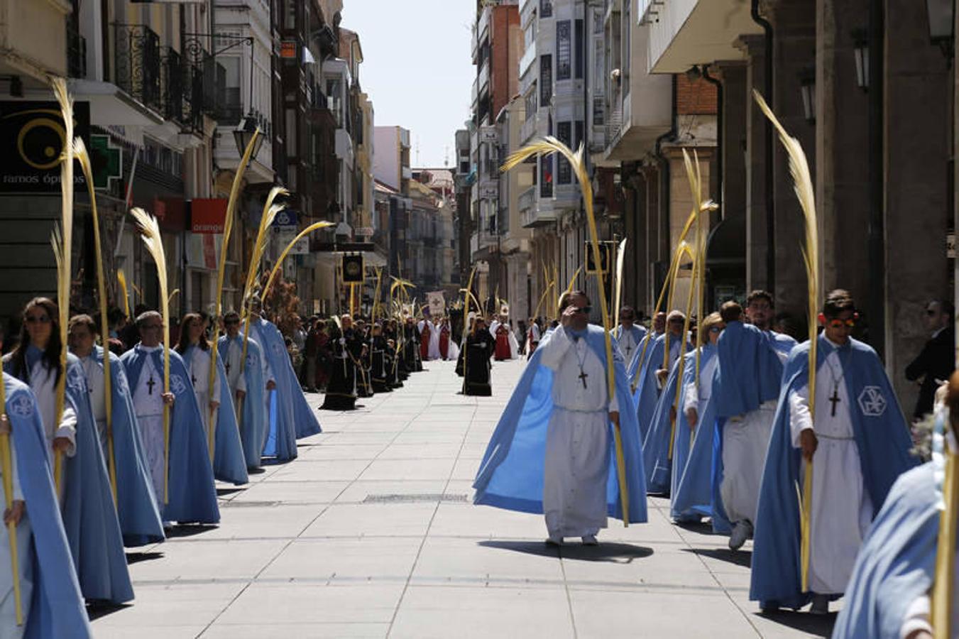 Procesión de La Borriquilla en Palencia (1/2)