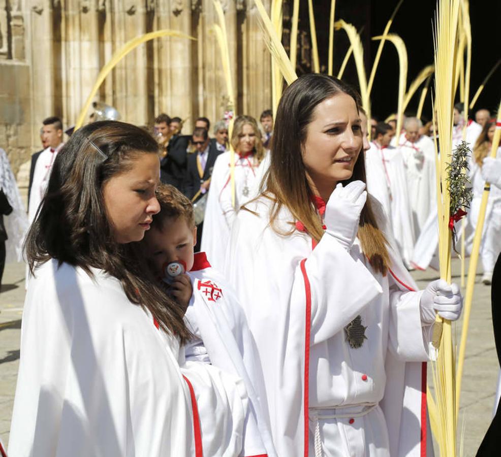 Procesión de La Borriquilla en Palencia (2/2)
