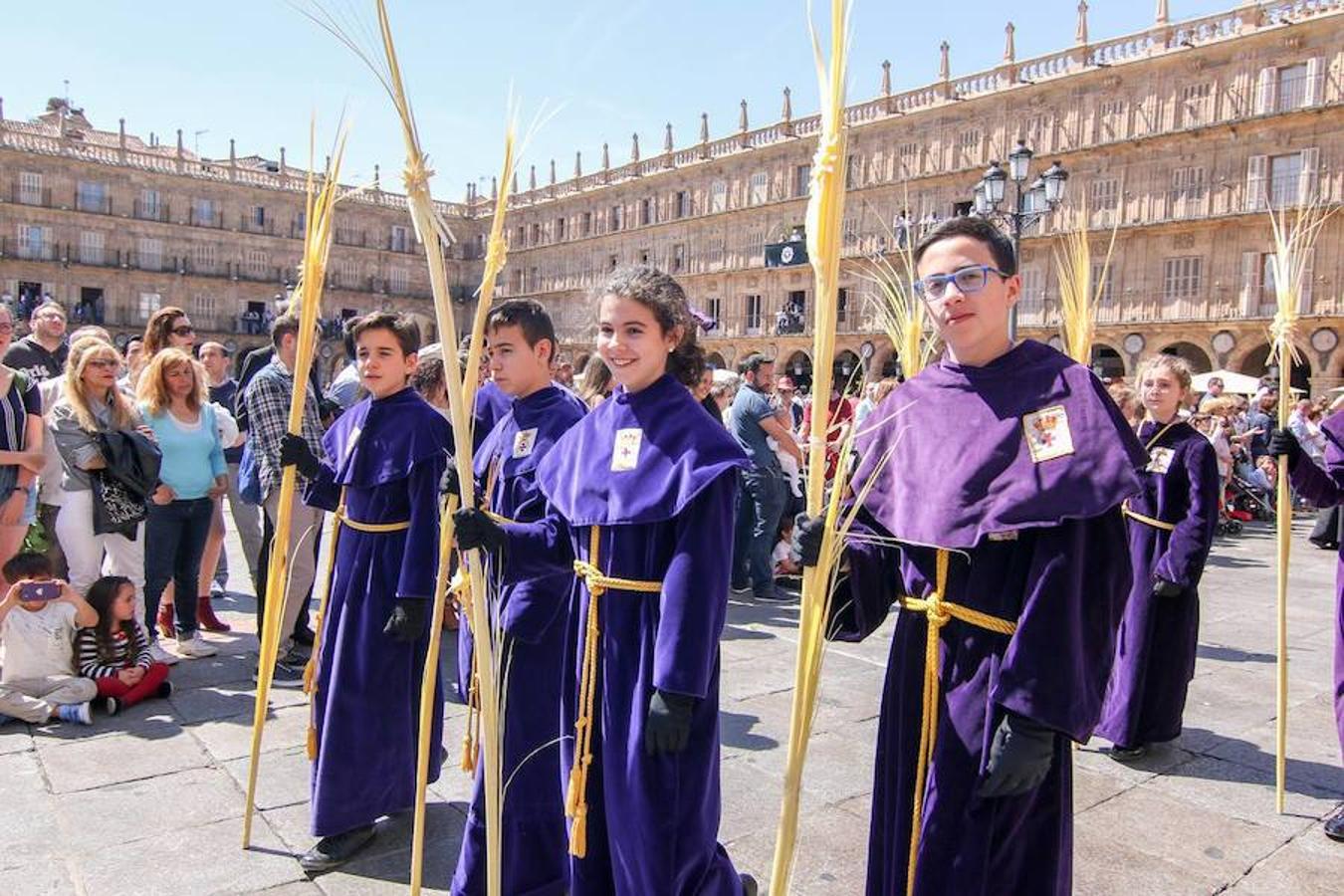 Procesión de la Borriquita en Salamanca