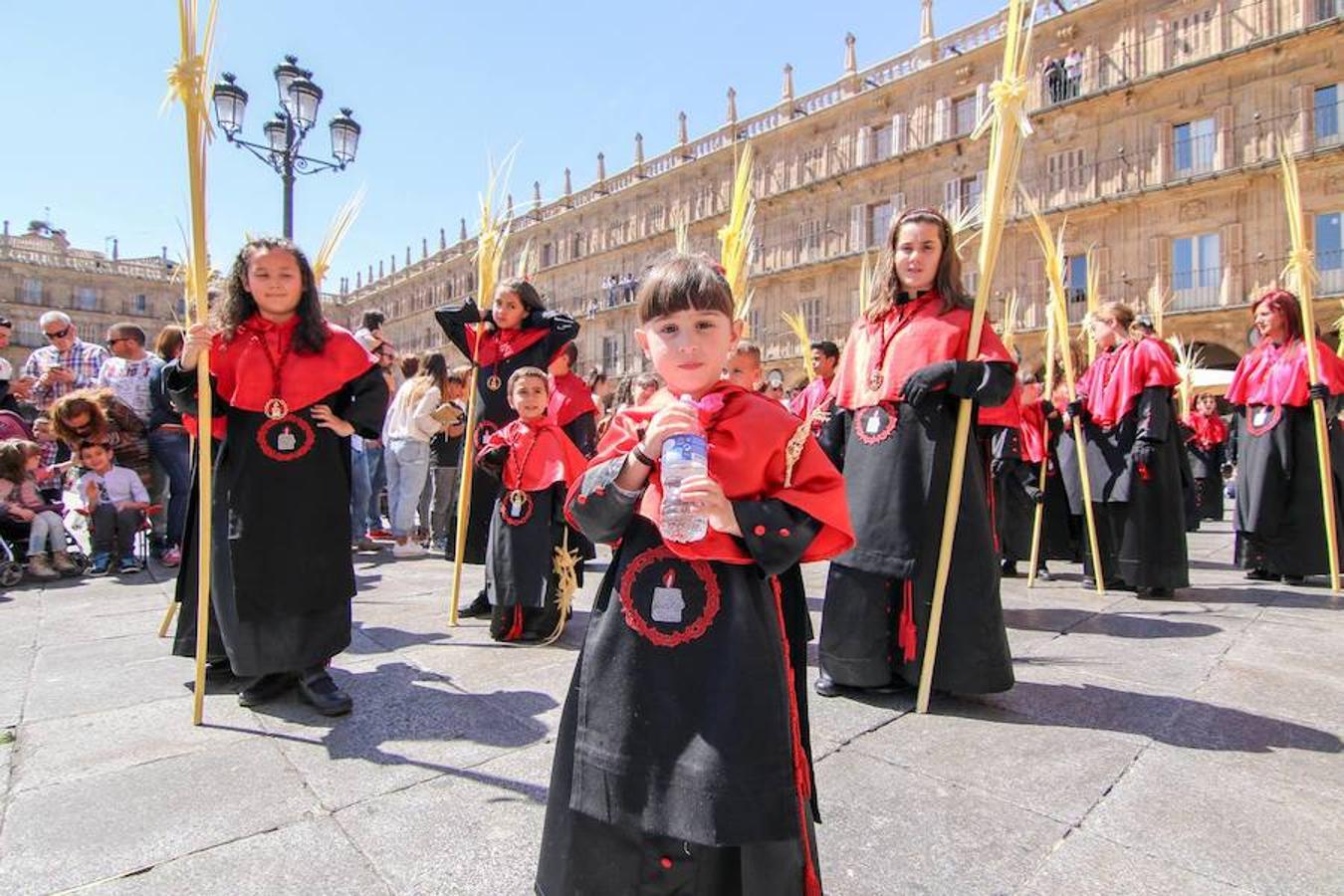 Procesión de la Borriquita en Salamanca