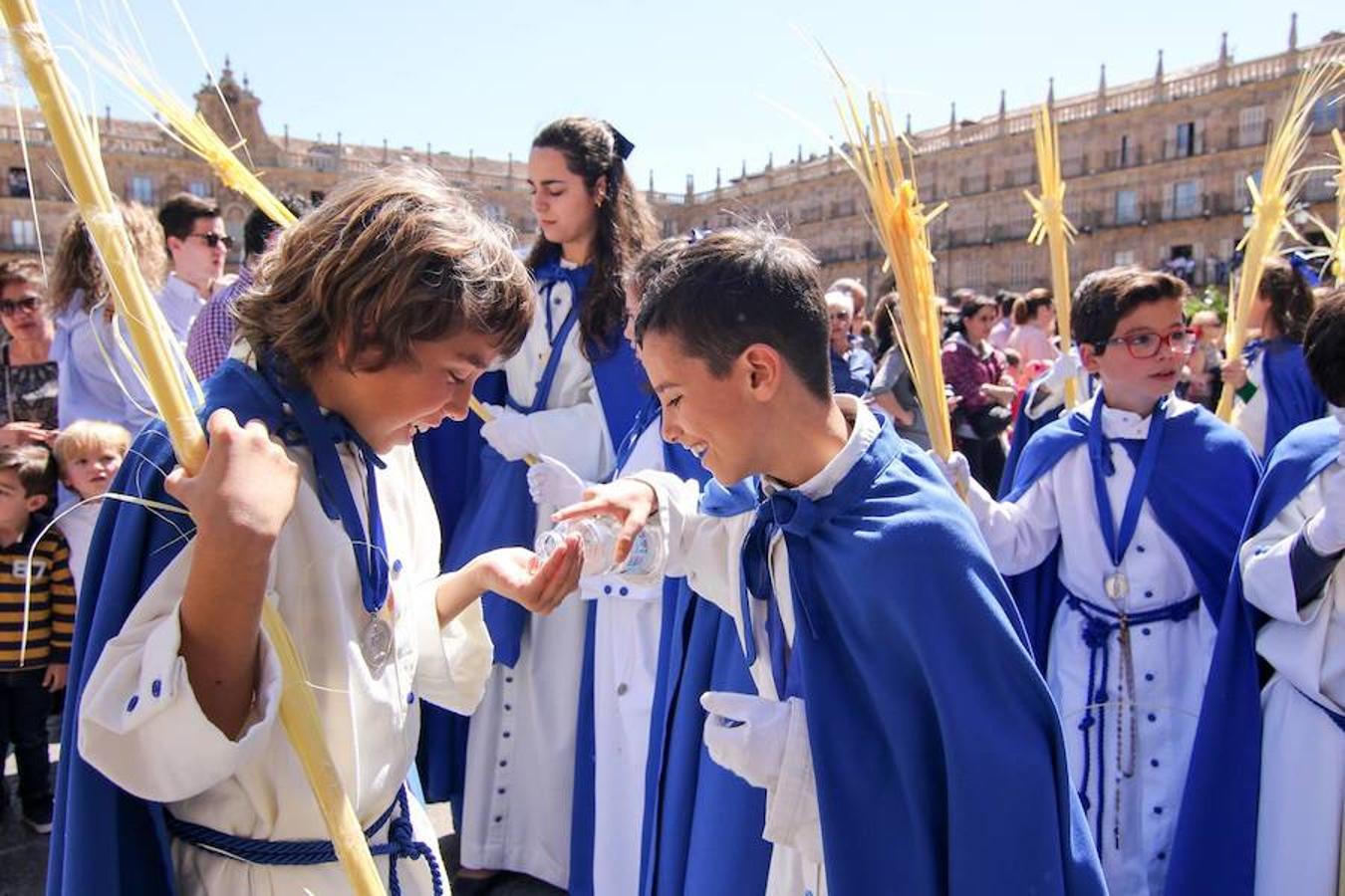 Procesión de la Borriquita en Salamanca