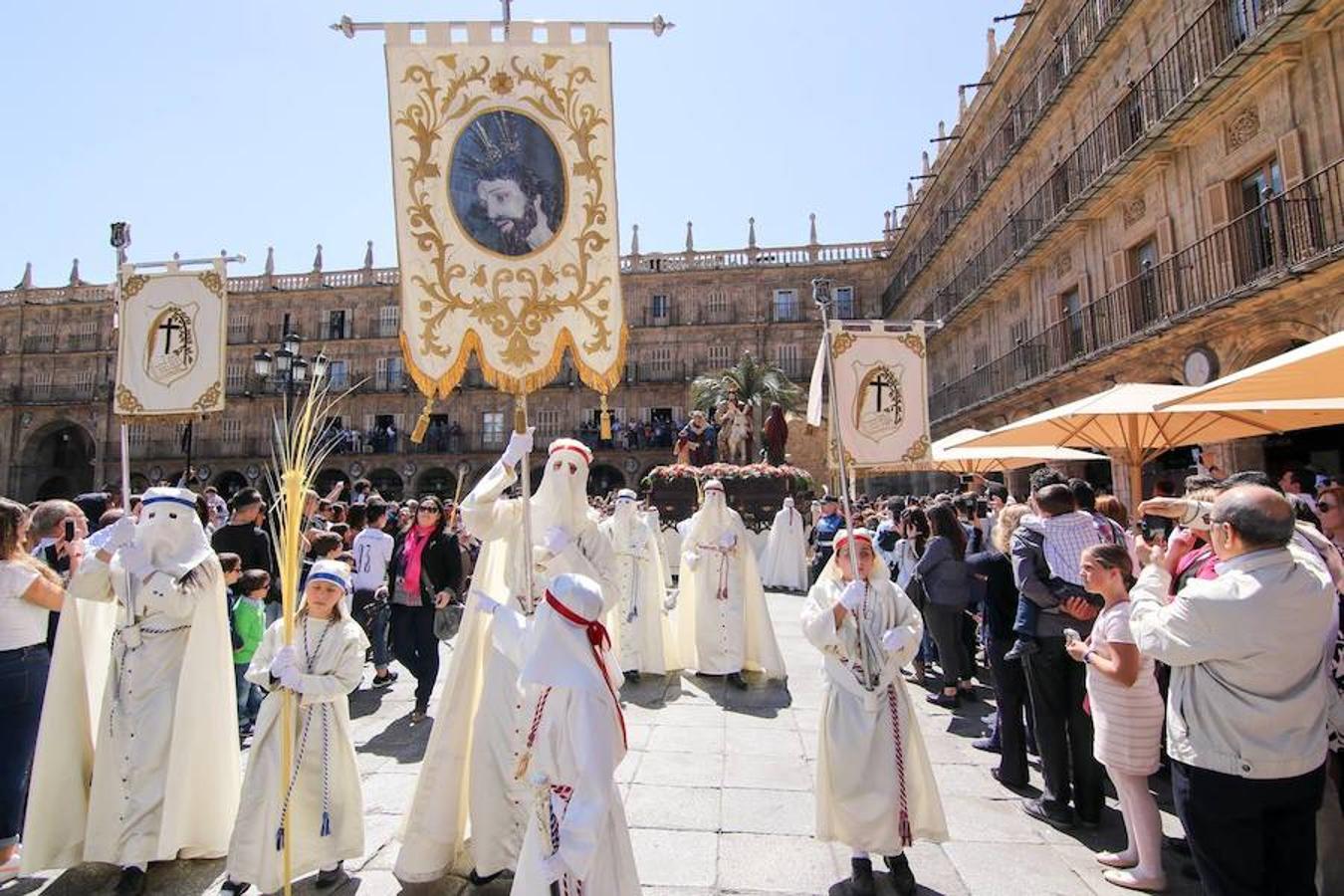 Procesión de la Borriquita en Salamanca