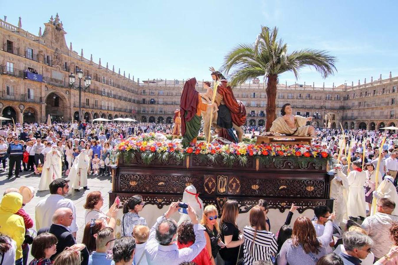 Procesión de la Borriquita en Salamanca