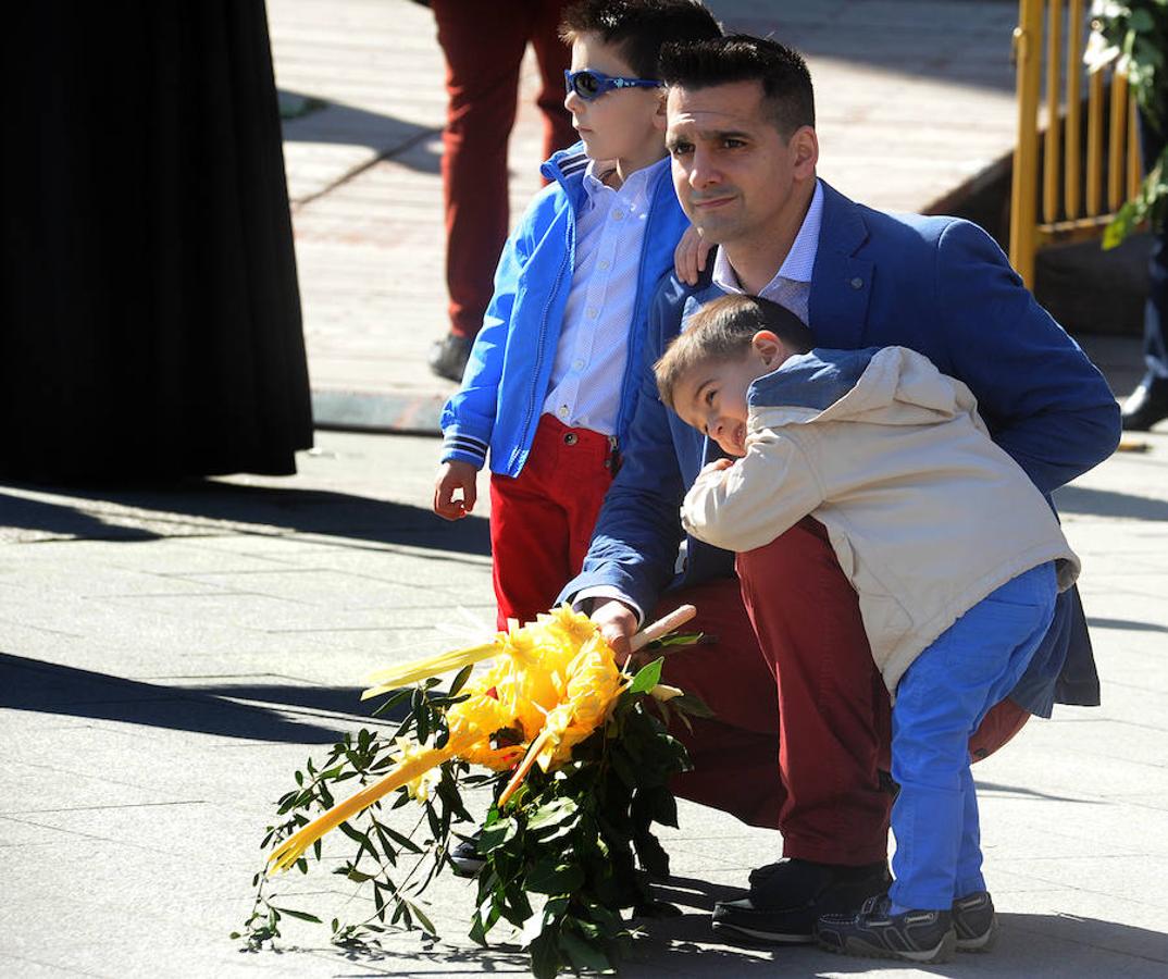 Procesión de La Borriquilla en Medina del Campo