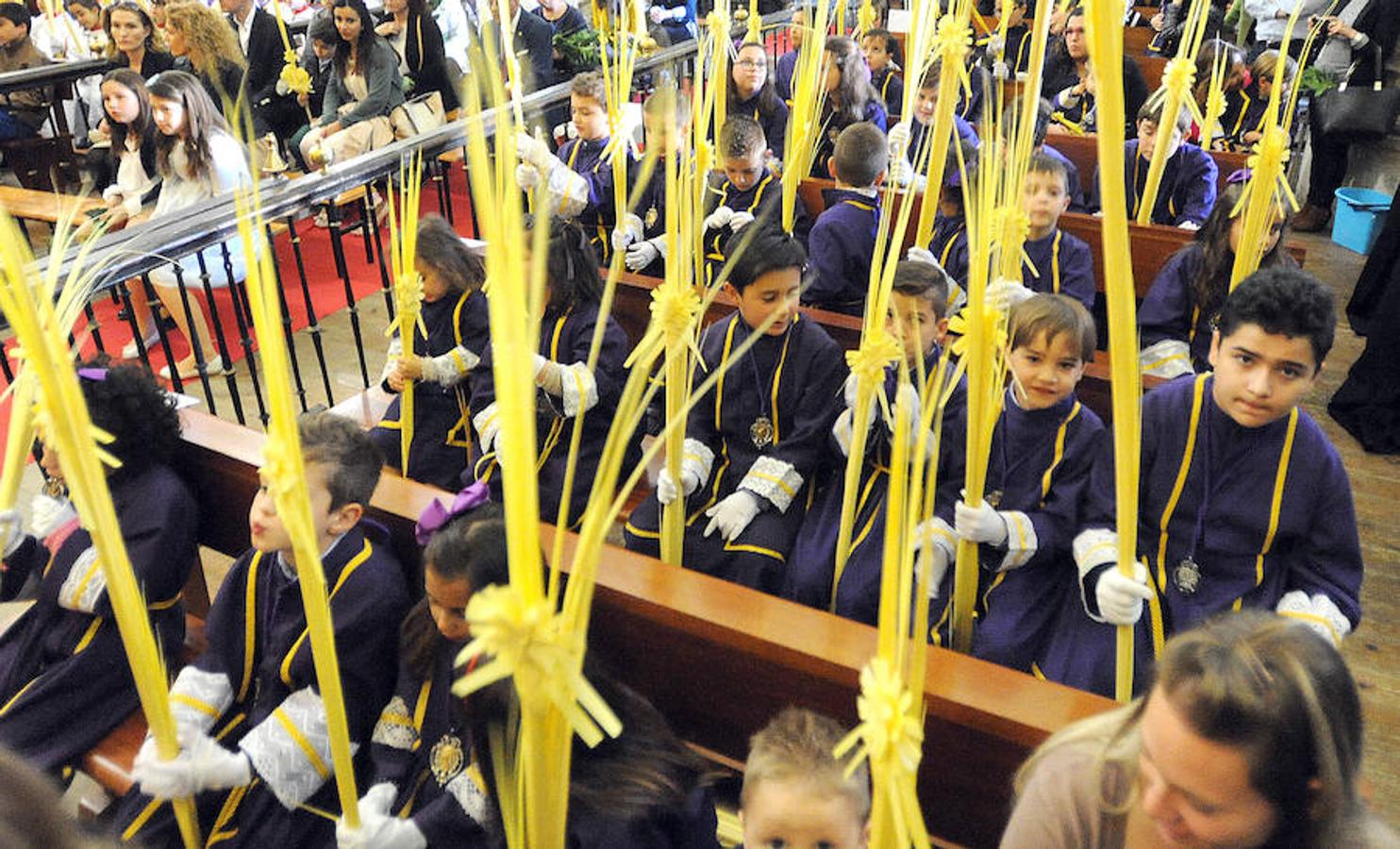 Procesión de La Borriquilla en Medina del Campo