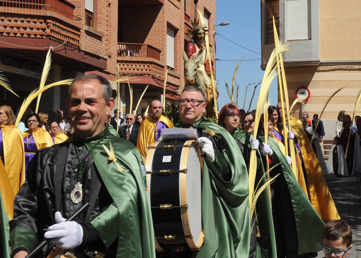 Procesión de la Borriquilla en Olmedo