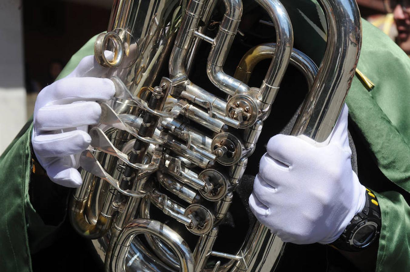 Procesión de la Borriquilla en Olmedo