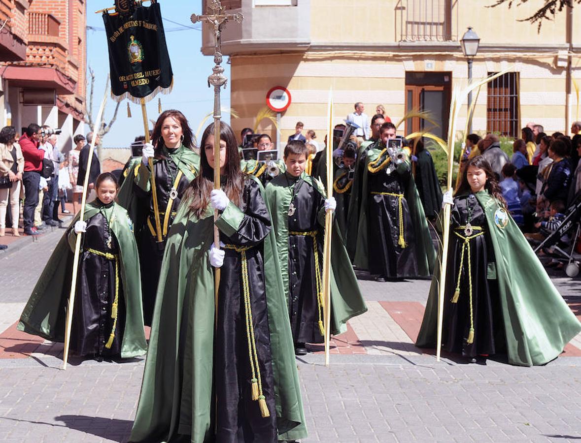 Procesión de la Borriquilla en Olmedo