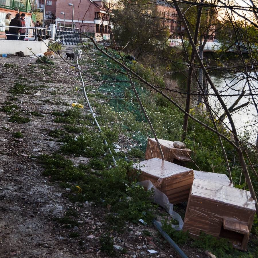 El otro Valladolid (IX): barrio Cuatro de Marzo