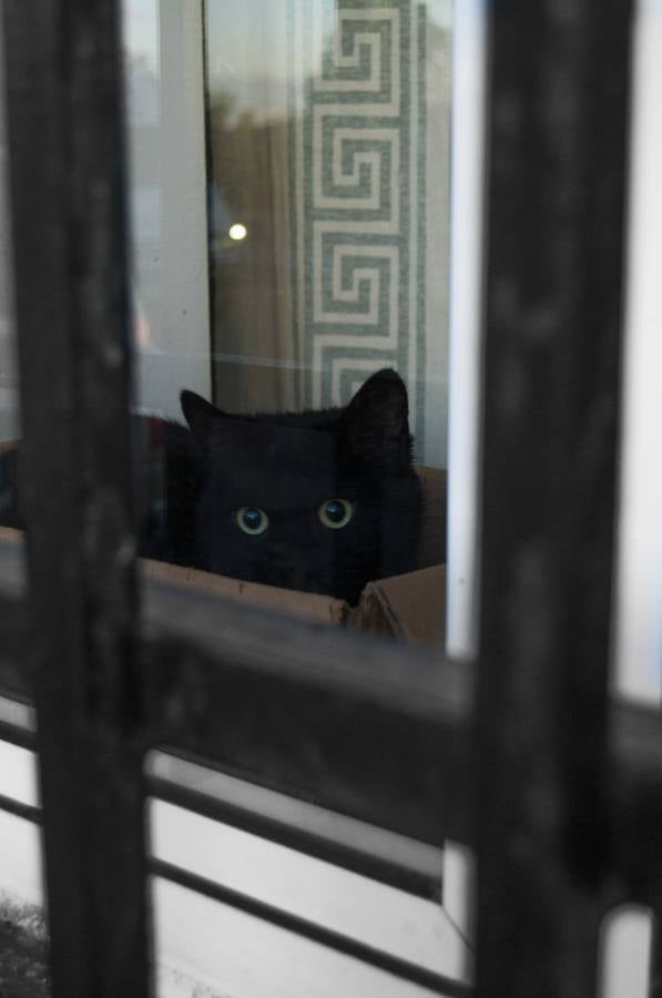 El otro Valladolid (IX): barrio Cuatro de Marzo