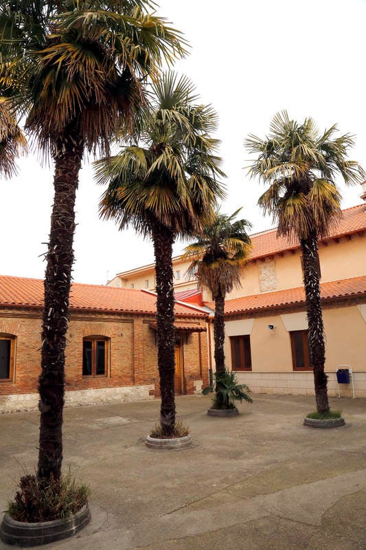 Cofradía Penitencial de Nuestro Padre Jesús Nazareno y Nuestra Madre La Virgen de la Amargura de Palencia