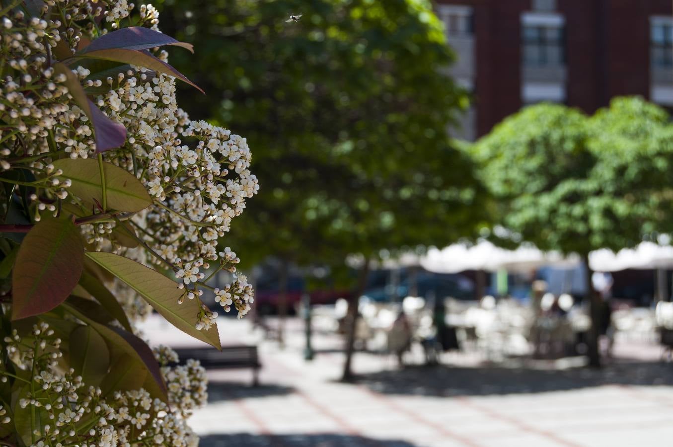 El otro Valladolid (X): barrio de Delicias