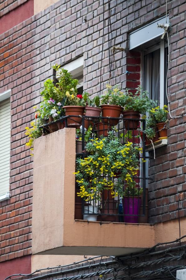 El otro Valladolid (X): barrio de Delicias