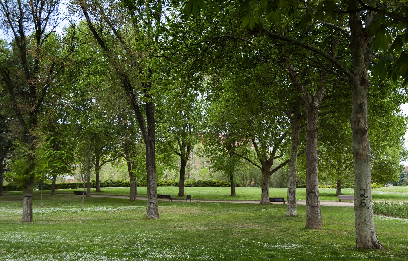 El otro Valladolid (X): barrio de Delicias