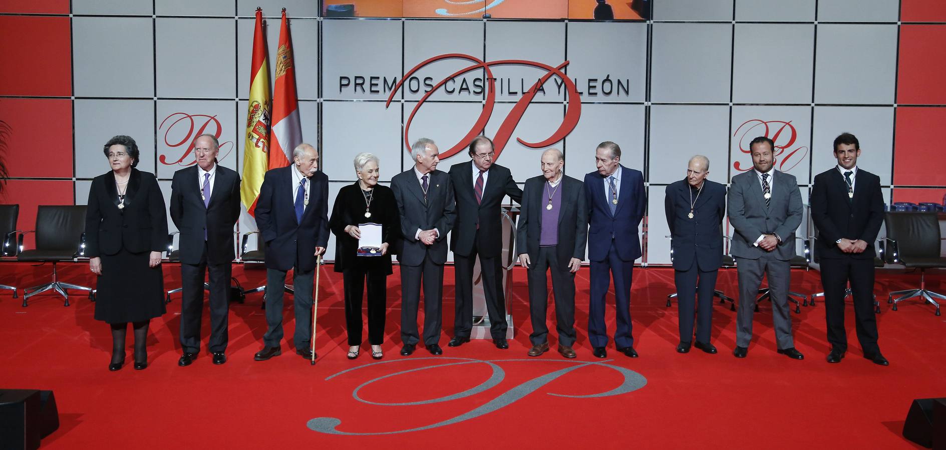 2013. Las Letras: Jesús Hilario Tundidor; Las Artes: Lola Herrera y Concha Velasco; Protección de Medio Ambiente: María del Rosario Heras Celemín; Ciencias Sociales y Humanidades: Tomás Ramón Fernández Rodríguez; Restauración y Conservación del Patrimonio: Ángel Sancho Campo; Valores Humanos: Fernando Macarro Castillo, 'Marcos Ana' y Francisco Laína García; Deporte: VRAC y Club de Rugby El Salvador; Investigación Científica y Técnica: Fernando Tejerina García.