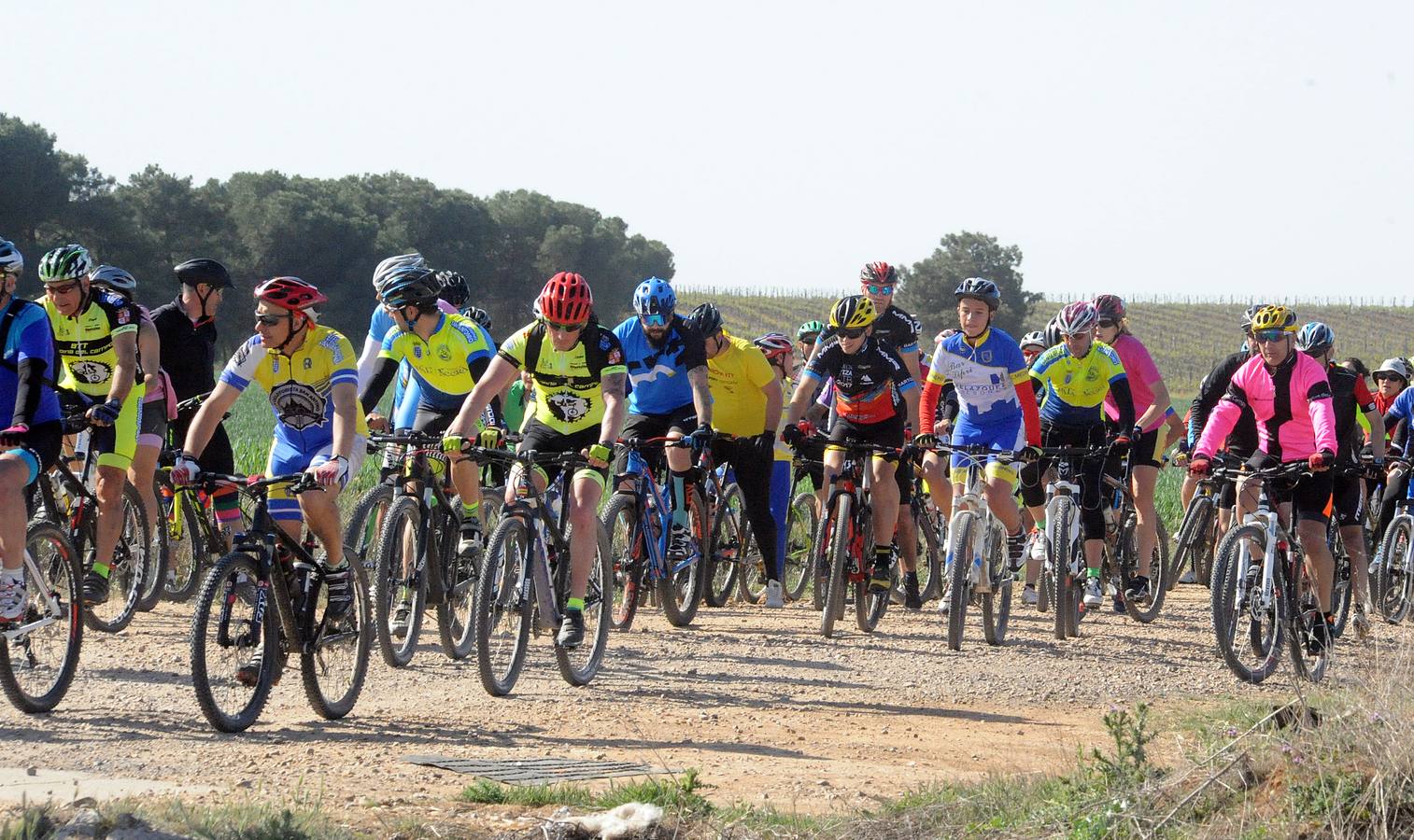 Marcha cicloturista organizada con motivo de la III Feria de Enoturismo de la Ruta del Vino de Rueda