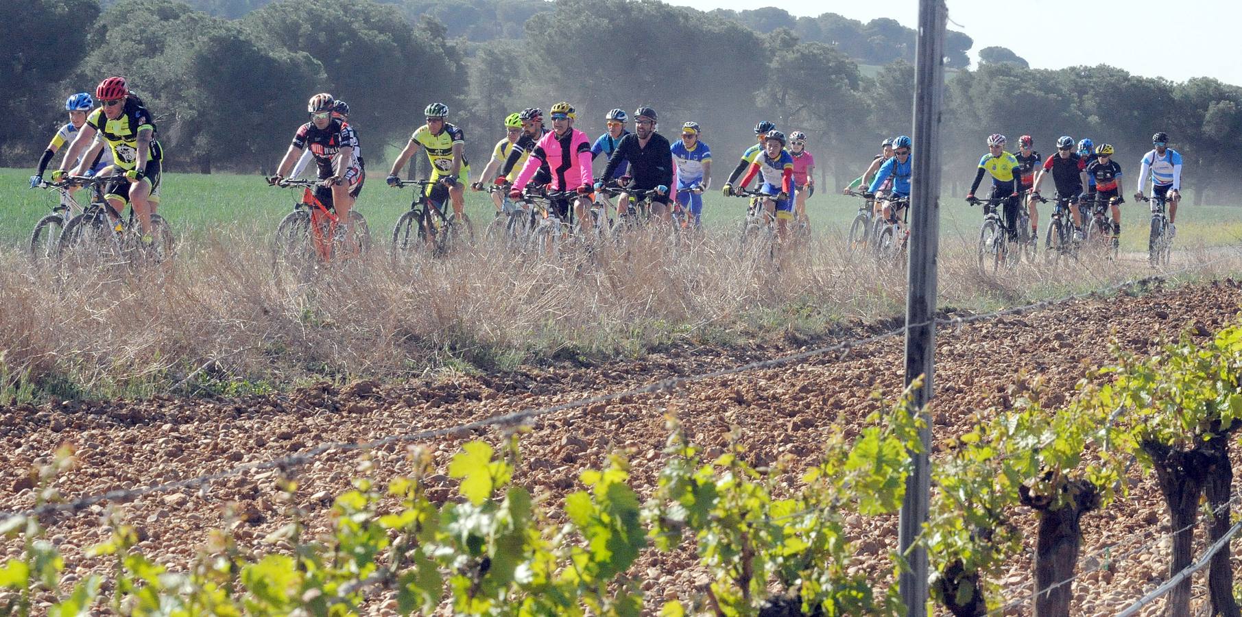 Marcha cicloturista organizada con motivo de la III Feria de Enoturismo de la Ruta del Vino de Rueda