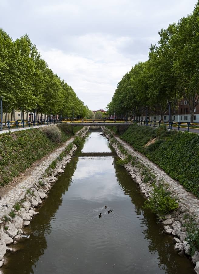 El otro Valladolid (XI): barrio San Pedro Regalado